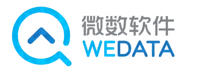 微数软件LOGO-网站(1).png